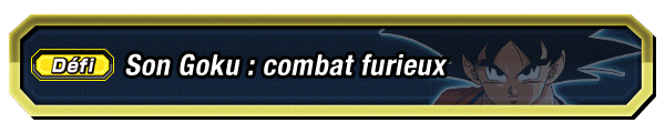 Son Goku : combat furieux