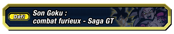 Son Goku : combat furieux - Saga GT