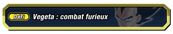 Vegeta : combat furieux
