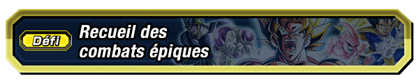 Recueil des combats épiques