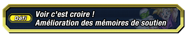 Voir c'est croire ! 
Amélioration des mémoires de soutien