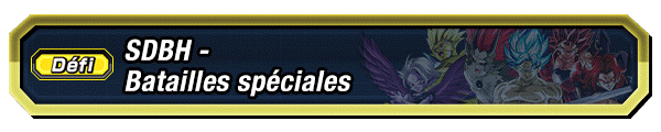 SDBH - Batailles spéciales