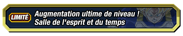 Augmentation ultime de niveau ! 
Salle de l'esprit et du temps