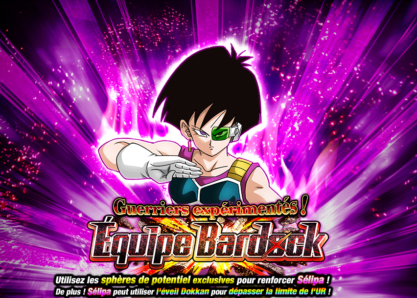 Guerriers expérimentés ! Équipe Bardock