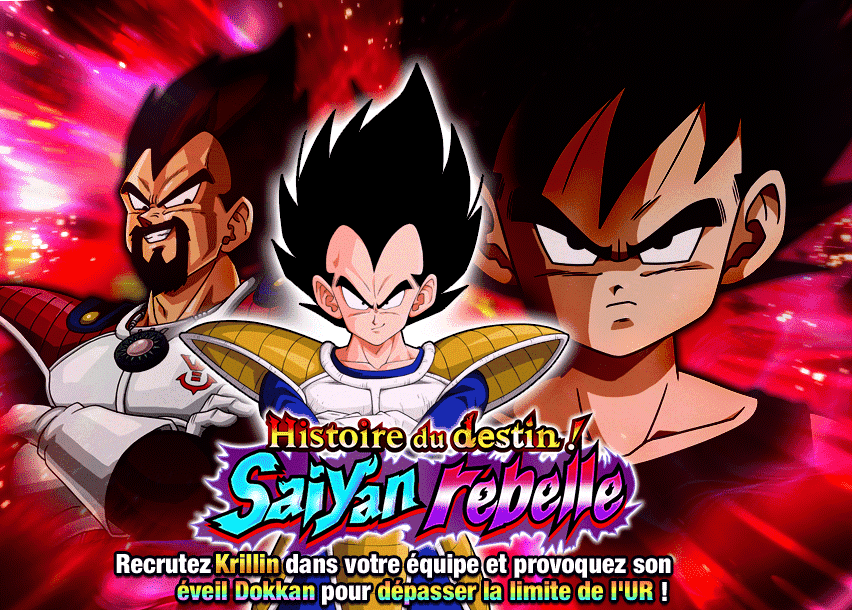 Histoire du destin ! Saiyan rebelle