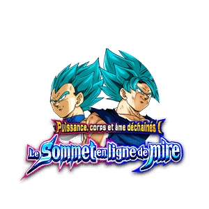 Son Goku Super Saiyan divin SS & Vegeta Super Saiyan divin SS