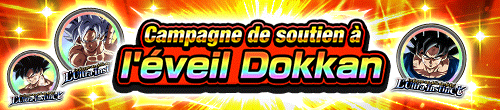 [fr]20240628_DOKKAN覚醒応援キャンペーン