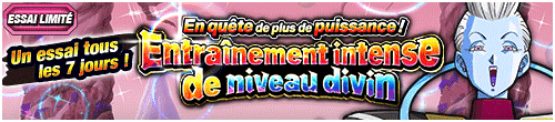 【回数制限】さらなる力を求めて！神レベルの猛特訓(リニューアル)