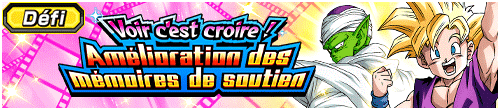 【チャレンジ】目撃せよ！サポートメモリー強化