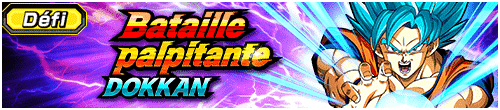 [fr]ドッカン究極エキサイトバトル