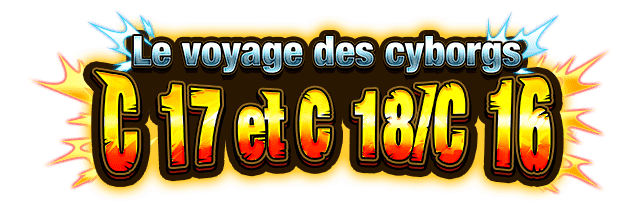 C-17 et C-18/C-16